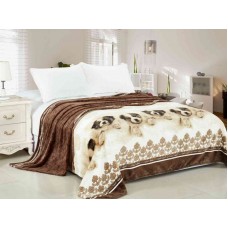 Плед 09-7: евро 200*220 Калифорния 057-pf